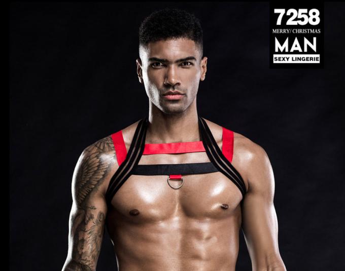 De sexy Bodysuit van het Vestpyjama's van Lingerie Vastgestelde Mensen ′ s Nachtkleding van de Uitrustingscatsuit Hete Erotische